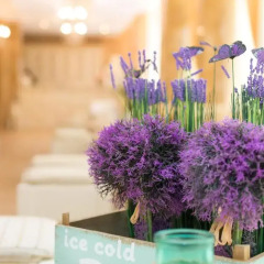 Отель Aparthotel Dawn Park Болгария, Солнечный берег - отзывы, цены и фото номеров - забронировать отель Aparthotel Dawn Park онлайн интерьер отеля