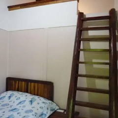 Отель Cabinas Tropicales Puerto Jimenez 3* Стандартный номер фото 18