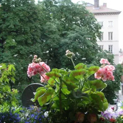 Отель Chambres Les Soyeuses Франция, Лион - отзывы, цены и фото номеров - забронировать отель Chambres Les Soyeuses онлайн
