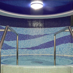 Отель Novotel Budapest Centrum бассейн