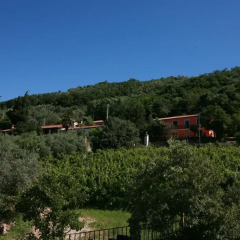 Отель B&B Contarine Италия, Региональный парк Colli Euganei - отзывы, цены и фото номеров - забронировать отель B&B Contarine онлайн балкон