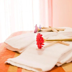 Отель Residence Auriga спа