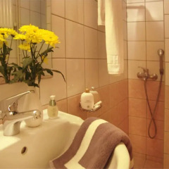 Platon Hotel 2* Номер категории Эконом с различными типами кроватей фото 4