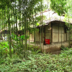 Slow City Youth Hostel