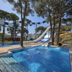 Отель Papillon Zeugma Relaxury - All Inclusive Белек бассейн фото 4