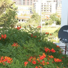 Апартаменты Apartments Bečić фото 5