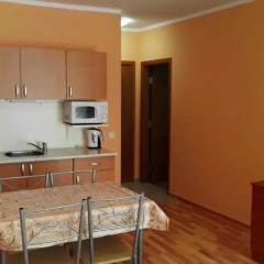 Апартаменты Sineva Del Sol Apartments Студия фото 43