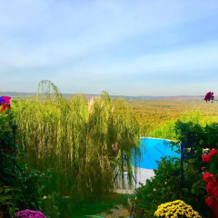Villa Gudca Турция, Ташкёпрю - отзывы, цены и фото номеров - забронировать отель Villa Gudca онлайн балкон
