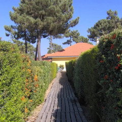 Отель Aldeamento Turistico Casas da Comporta фото 7