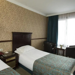 Topkapi Inter Istanbul Hotel 4* Стандартный номер с двуспальной кроватью фото 33