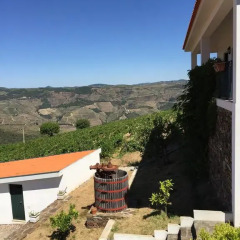 Отель Quinta dos Espinheiros фото 18