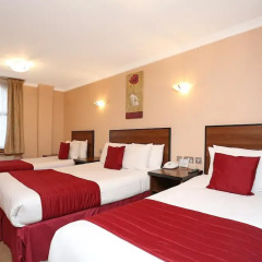 Elysee Hotel 3* Стандартный номер с 2 отдельными кроватями фото 6