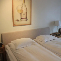 Hotel Vanilla 3* Стандартный номер с различными типами кроватей фото 4