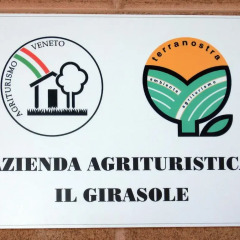 Отель Agriturismo B&B Il Girasole Италия, Мира - отзывы, цены и фото номеров - забронировать отель Agriturismo B&B Il Girasole онлайн с домашними животными
