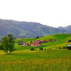Отель Le Grand Chalet фото 4