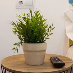 Pil Pil Hostel Madrid комната для гостей фото 3