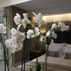 Отель The Y Hotel Греция, Кифисия - отзывы, цены и фото номеров - забронировать отель The Y Hotel онлайн комната для гостей фото 5