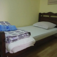 Family Hotel Mountain Scream Тбилиси комната для гостей фото 2