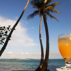 Отель Sugar Reef Bequia Сент-Винсент и Гренадины, Остров Бекия - отзывы, цены и фото номеров - забронировать отель Sugar Reef Bequia онлайн бассейн