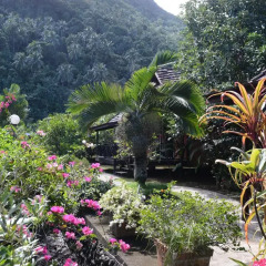 Отель Hitimoana Villa Tahiti Французская Полинезия, Папеэте - отзывы, цены и фото номеров - забронировать отель Hitimoana Villa Tahiti онлайн