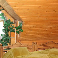 Гостиница Oryavchik Country House спа