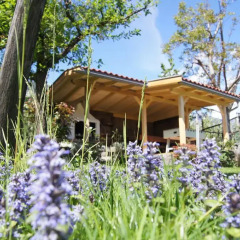 Отель Ferienhaus Aronia Италия, Чермес - отзывы, цены и фото номеров - забронировать отель Ferienhaus Aronia онлайн фото 3