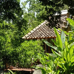 Отель Thipwimarn Resort Koh Tao 3* Вилла с различными типами кроватей фото 15