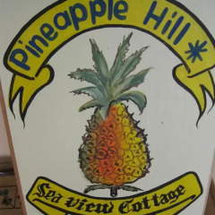 Отель Pineapple Hill Sea View Cottage Порт Антонио развлечения