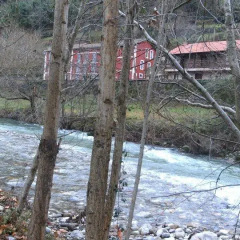 Отель Posada El Cafetín Испания, Пеньяррубиа - отзывы, цены и фото номеров - забронировать отель Posada El Cafetín онлайн приотельная территория фото 2