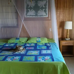 Отель Miki Miki Lodge детские мероприятия