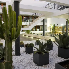 Отель Apartamentos Conilsol Испания, Кониль-де-ла-Фронтера - отзывы, цены и фото номеров - забронировать отель Apartamentos Conilsol онлайн