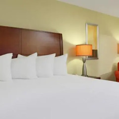 Отель Hilton Garden Inn Columbus Airport 3* Стандартный номер с различными типами кроватей