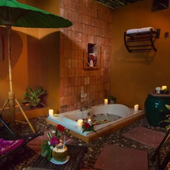 Отель Mangosteen Ayurveda & Wellness Resort 4* Номер Делюкс с двуспальной кроватью фото 3