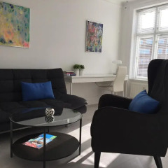 Отель City View Apartment Copenhagen Дания, Копенгаген - отзывы, цены и фото номеров - забронировать отель City View Apartment Copenhagen онлайн интерьер отеля