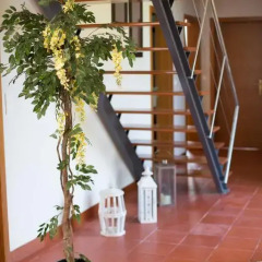 Отель House Rodrigues развлечения