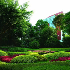 Отель City Hotel Xiamen Китай, Сямынь - отзывы, цены и фото номеров - забронировать отель City Hotel Xiamen онлайн фото 4