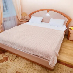 Гостиница Екатерина 3* Полулюкс с различными типами кроватей