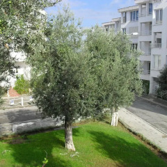 Отель Kodra e Diellit Residence Албания, Тирана - отзывы, цены и фото номеров - забронировать отель Kodra e Diellit Residence онлайн фото 3