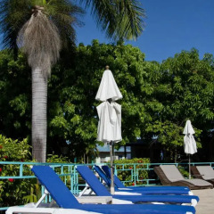 Отель Tobys Resort Ямайка, Монтего-Бей - отзывы, цены и фото номеров - забронировать отель Tobys Resort онлайн фото 8