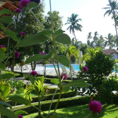 Отель Hai Au Mui Ne Beach Resort & Spa 4* Номер Делюкс фото 3