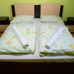 Elegance Hostel and Guesthouse Номер Комфорт с различными типами кроватей фото 5