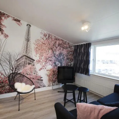 Hotel Hedegaarden 3* Люкс с различными типами кроватей фото 2