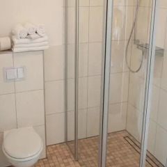 Hotel zur Heideblüte 3* Стандартный номер с различными типами кроватей фото 4