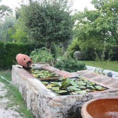 Отель Bed and breakfast I Glicini Кастаньето-Кардуччи фото 4