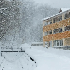 Отель Цахкаовит
