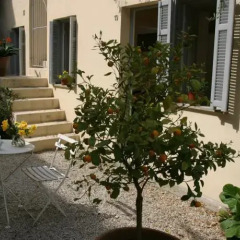 Clair Hotel