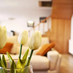 Отель Heart of Downtown! Luxury Duplex with Terrace & City Views бассейн