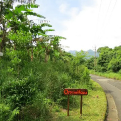 Отель Cottage Orange House Yakushima Якусима фото 10