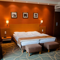 City Hotel Miskolc 4* Улучшенный номер с различными типами кроватей фото 4