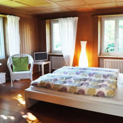 Отель B&B Zollikerberg 3* Стандартный номер с различными типами кроватей фото 2